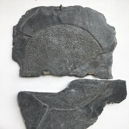 Lejlighed La Casa Vieja De Caneo - Rurales 3 Llaves Luarca