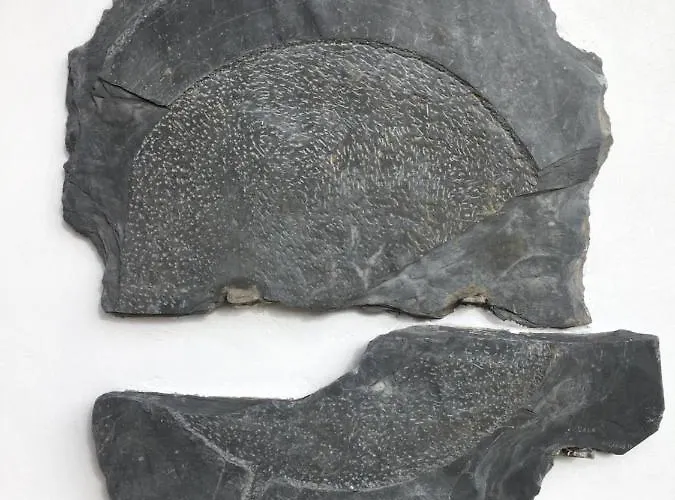 Apartamento La Casa Vieja De Caneo - Rurales 3 Llaves Luarca